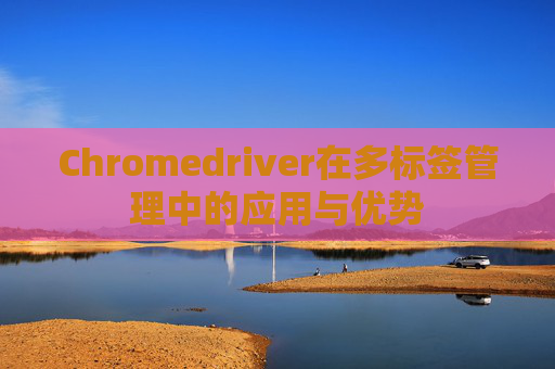Chromedriver在多标签管理中的应用与优势